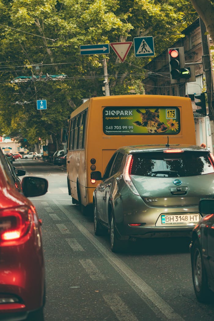Busy city street with vehicles at a traffic signal under green trees.